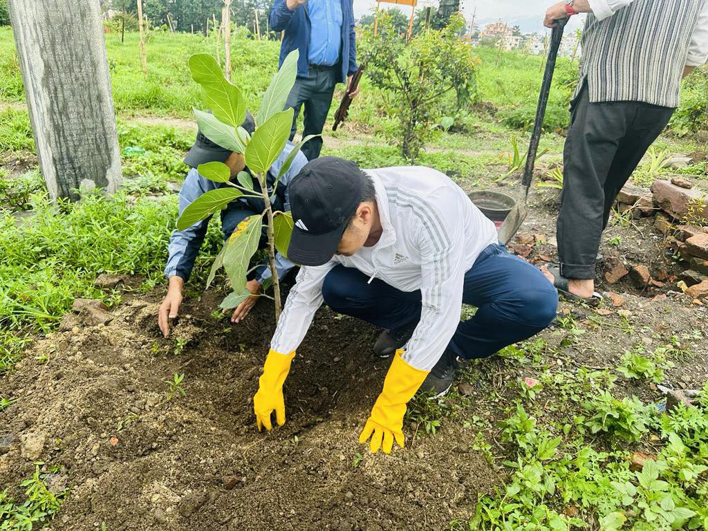 बुबाको काजकिरिया नगरेका मन्त्री किराँतीले रोपे पशुपतिमा वरपिपल